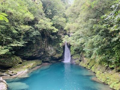 暑いですね(汗) 暑いですね(汗)